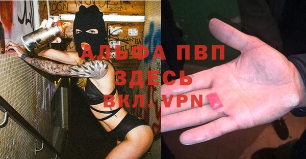 спайс Баксан