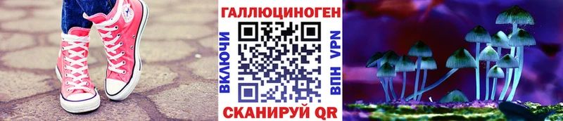 Псилоцибиновые грибы MAGIC MUSHROOMS  где купить наркоту  Суворов 